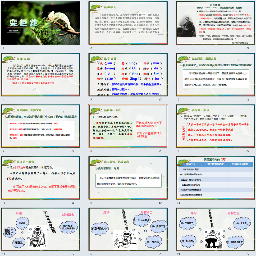 《变色龙》PPT课件精品课初中九年级语文下册第6课语文教学课件
