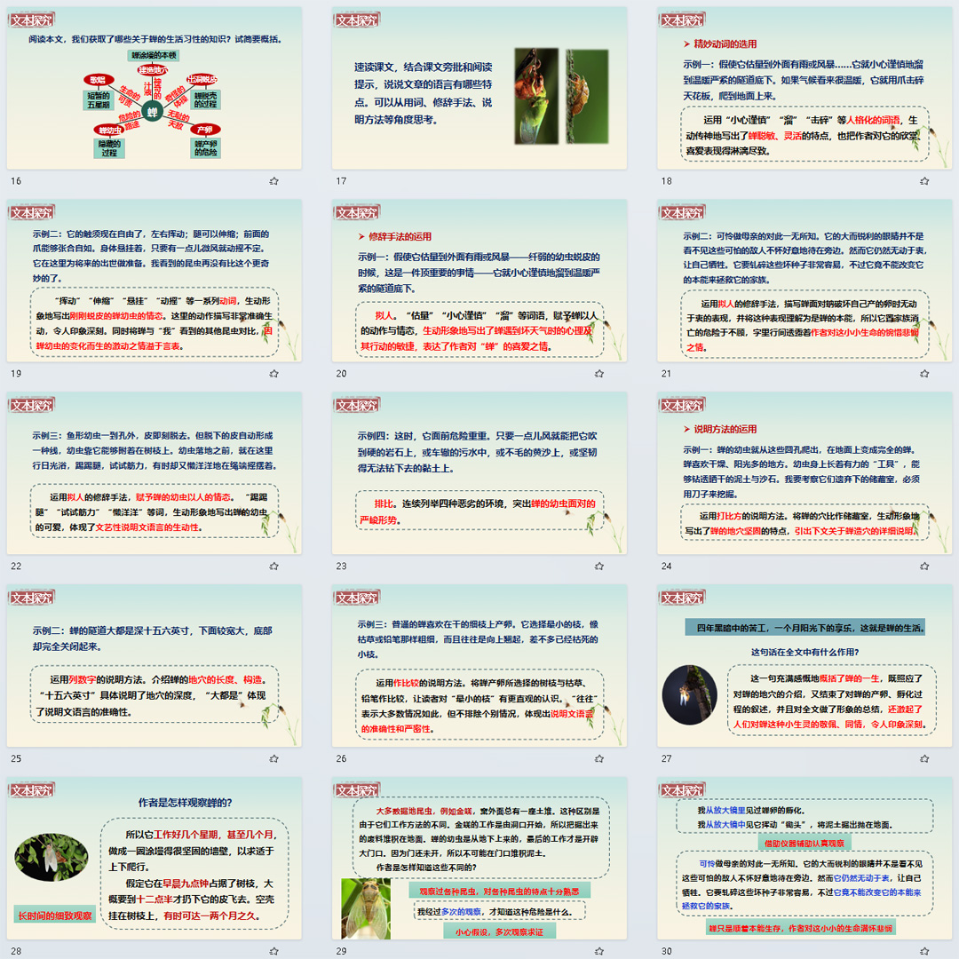 《蝉》PPT课件13套初中八年级上册语文第二十一课教学课件ppt