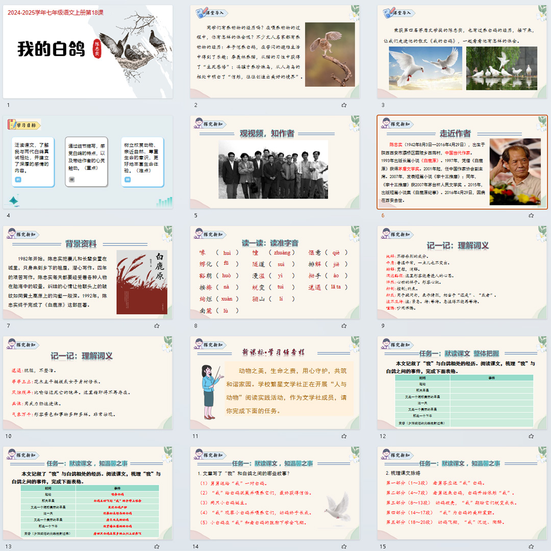 《我的白鸽》PPT课件7套初中七年级上册语文第十八课教学课件ppt