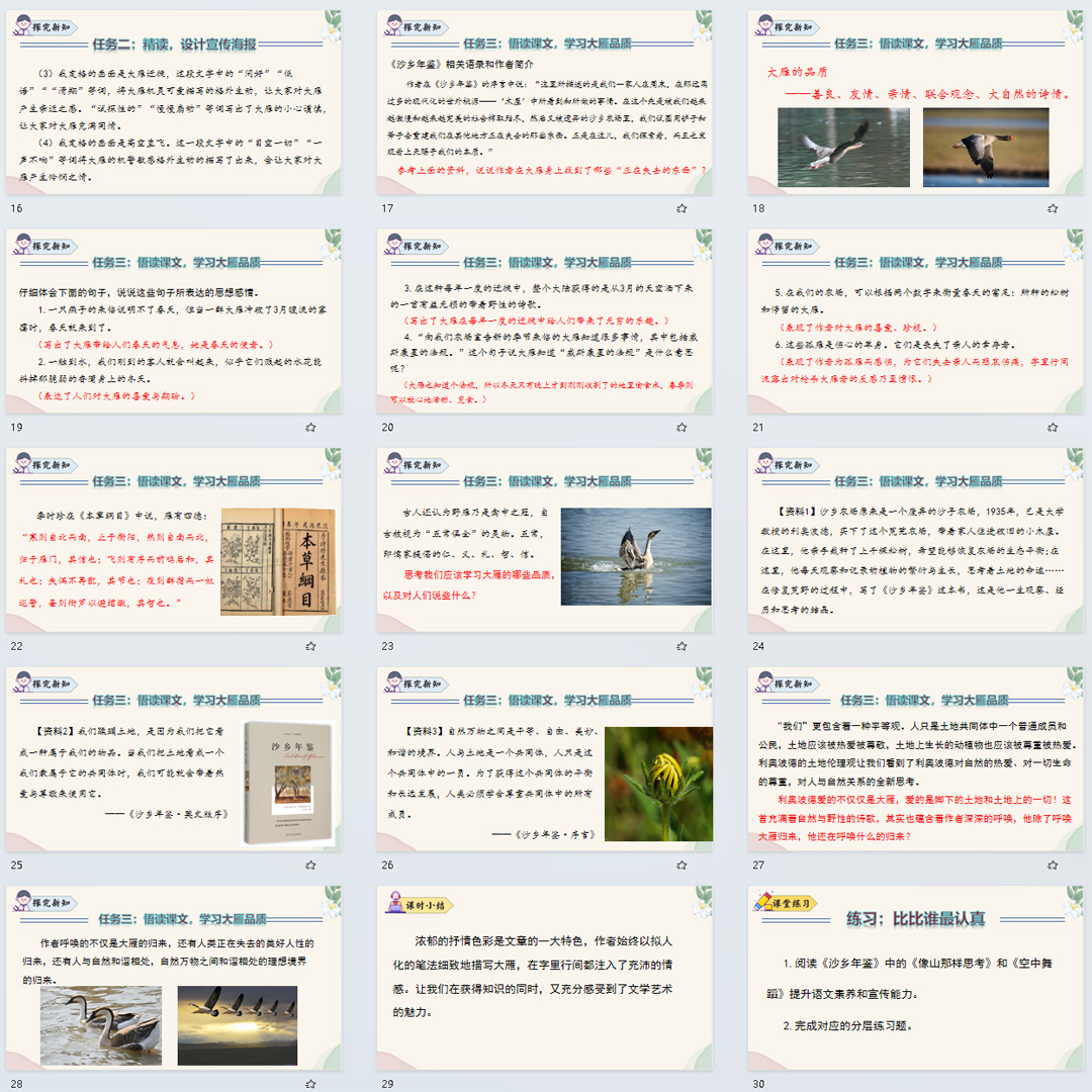 《大雁归来》PPT课件3套初中七年级上册语文第十九课教学课件ppt