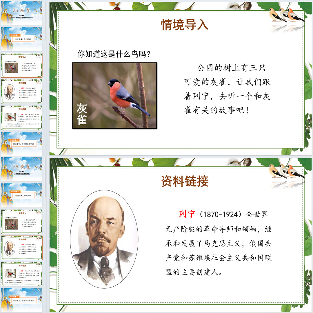 《灰雀》PPT课件11套小学三年级上册语文第二十五课教学课件