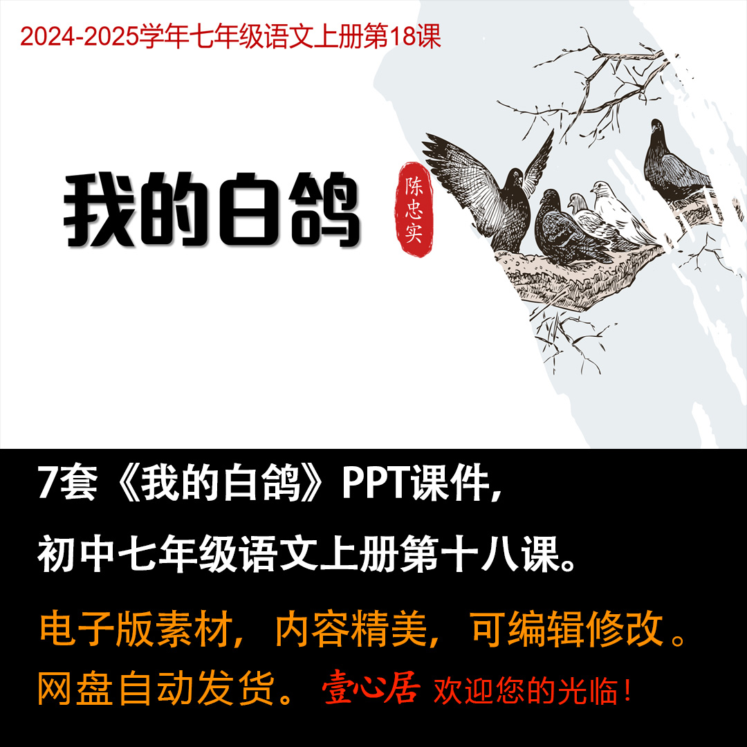 《我的白鸽》PPT课件7套初中七年级上册语文第十八课教学课件ppt