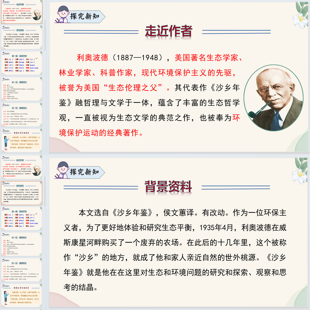 《大雁归来》PPT课件3套初中七年级上册语文第十九课教学课件ppt