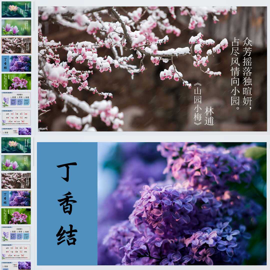 《丁香结》PPT课件精修单品六年级上册语文第二课同步教学课件ppt