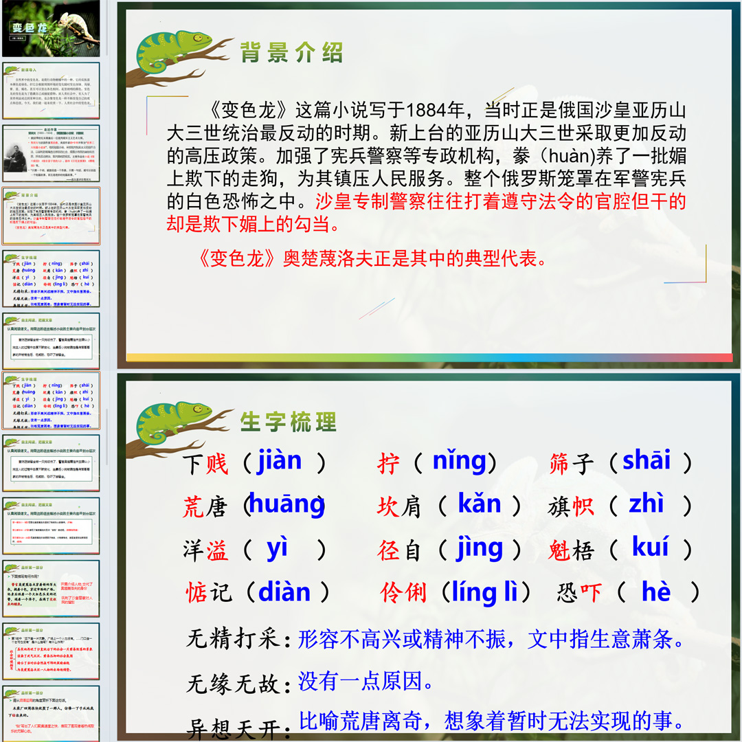 《变色龙》PPT课件精品课初中九年级语文下册第6课语文教学课件