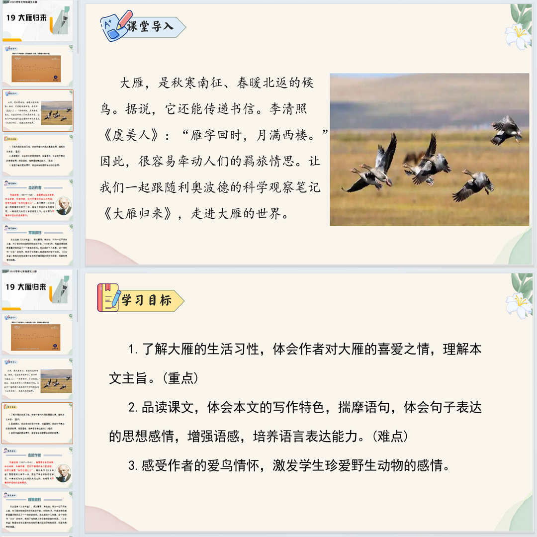 《大雁归来》PPT课件3套初中七年级上册语文第十九课教学课件ppt