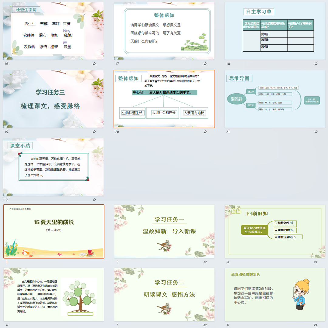 《夏天里的成长》PPT课件16套小学六年级上册语文第十六课