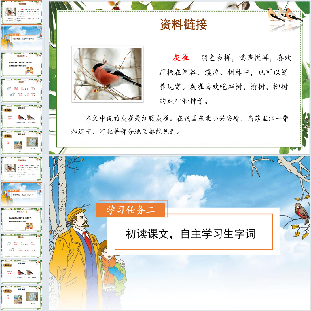 《灰雀》PPT课件11套小学三年级上册语文第二十五课教学课件